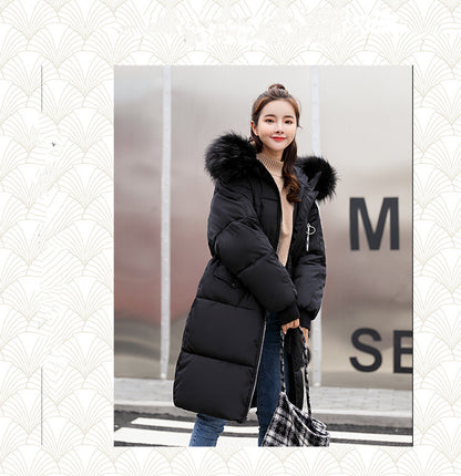 Coats & Jackets Korean Style Plus Size Slim-fit Hooded Women's Down Jacket