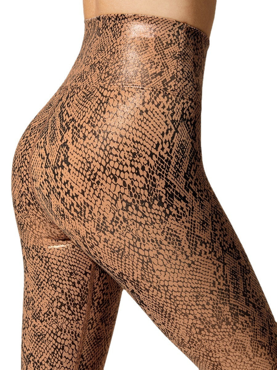 Yoga Pants & Leggings Glossy Light Snake Print Hot Stamped Sexy Bra